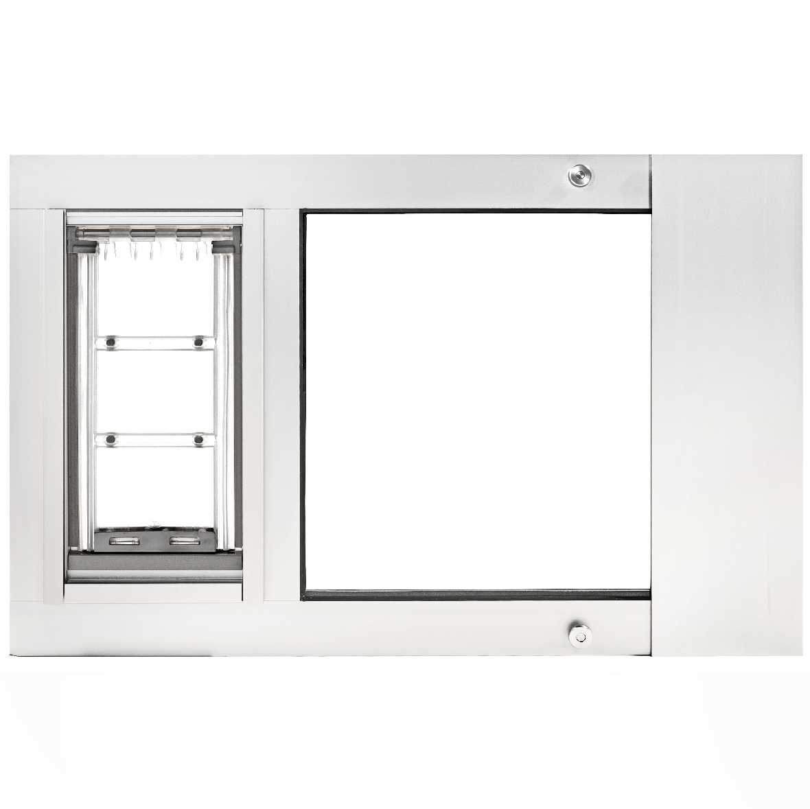 Color_White