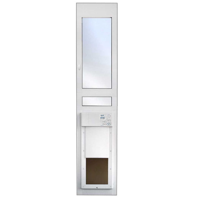 Color_White