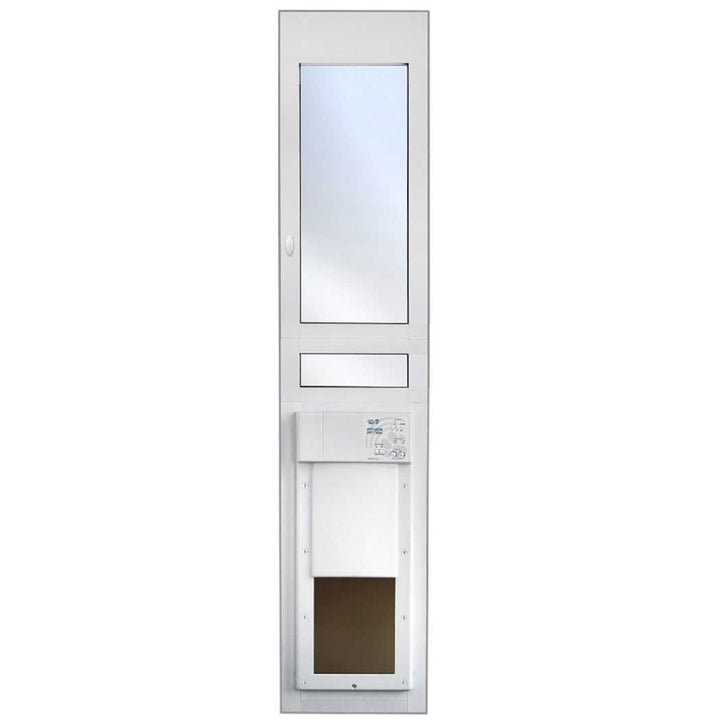 Color_White