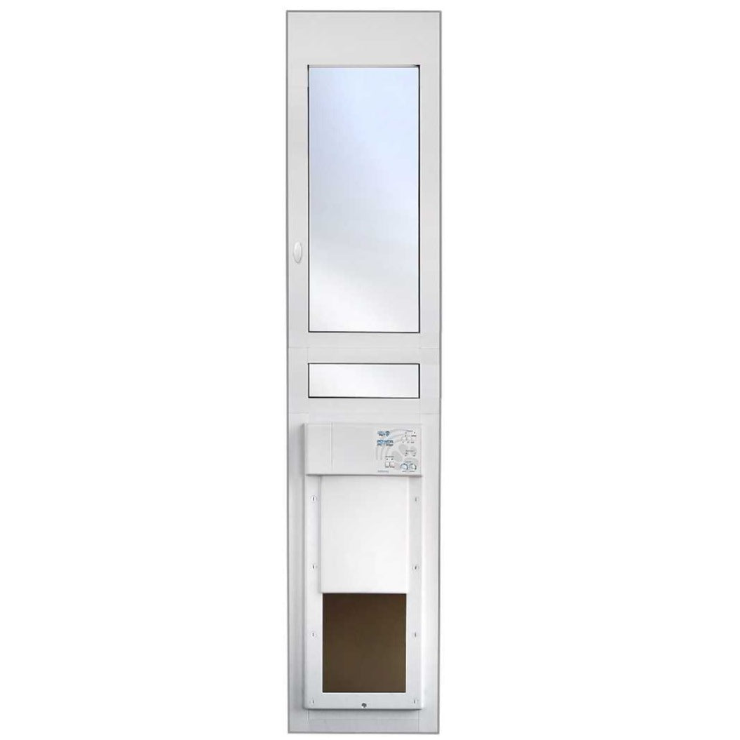 Color_White