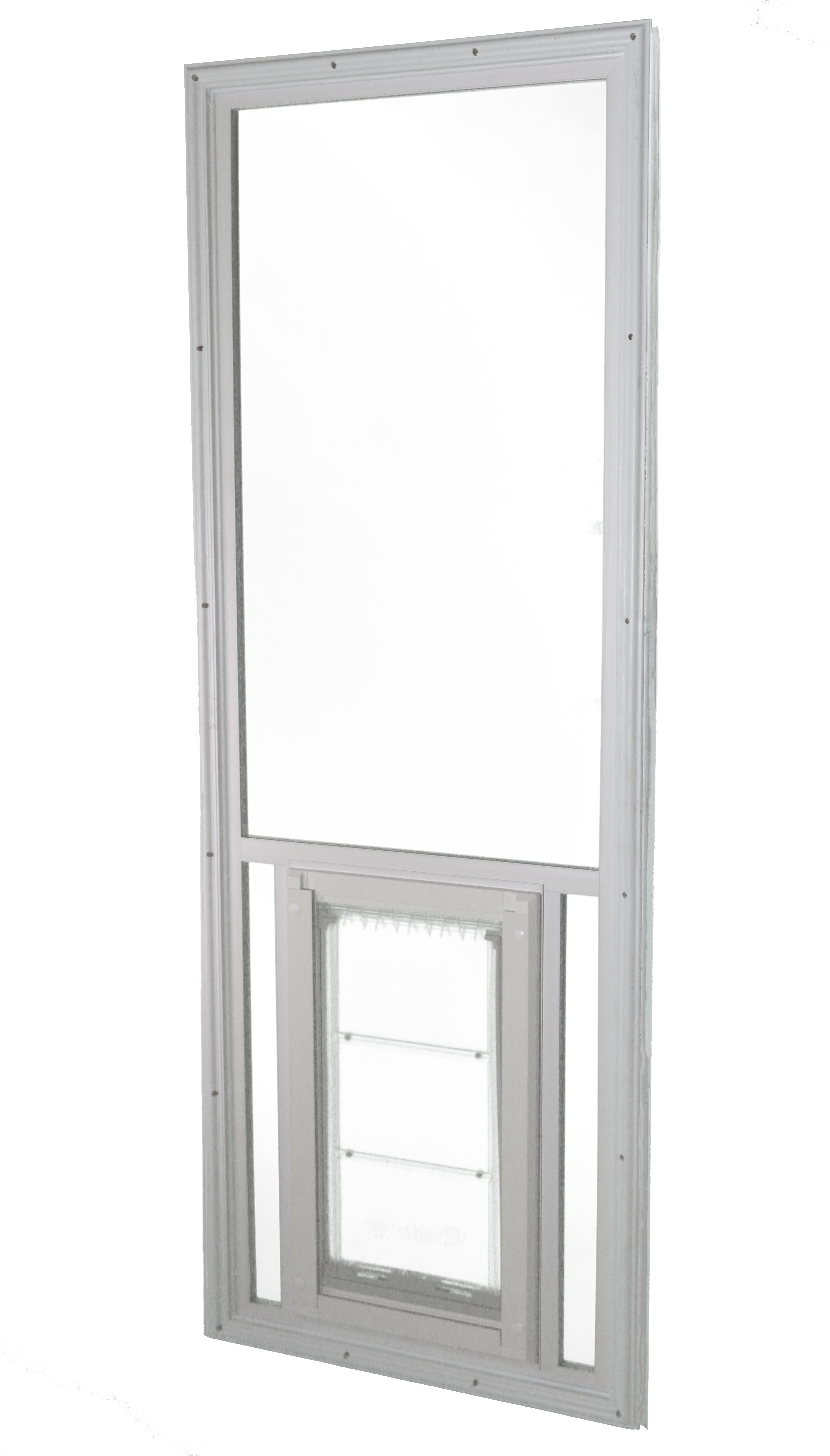 Color_White